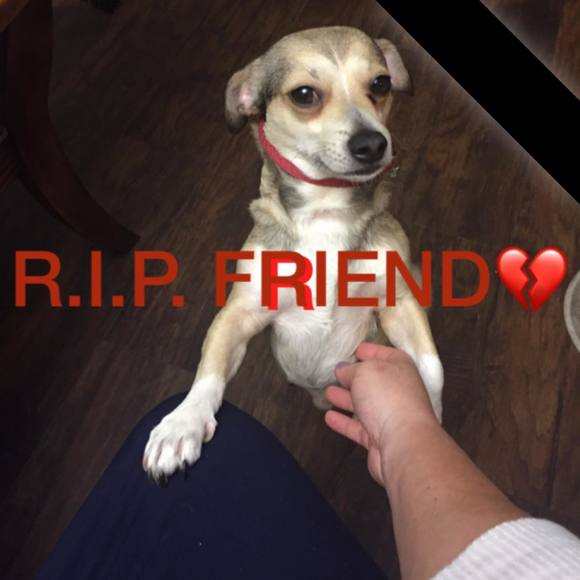 Meet your Posher, Tracy - Picture 1 of 1